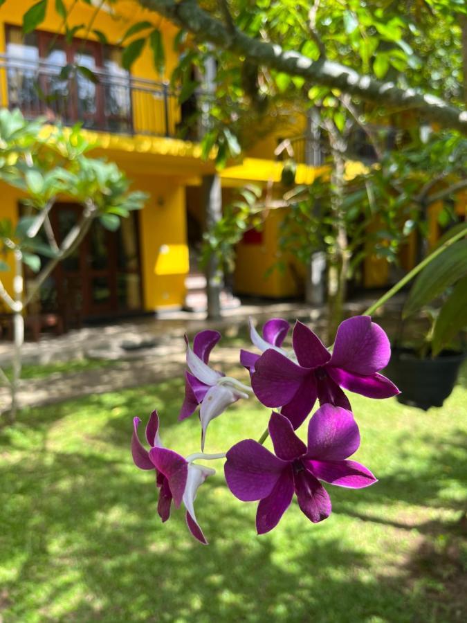 Easy Living Hotel Hikkaduwa Ngoại thất bức ảnh