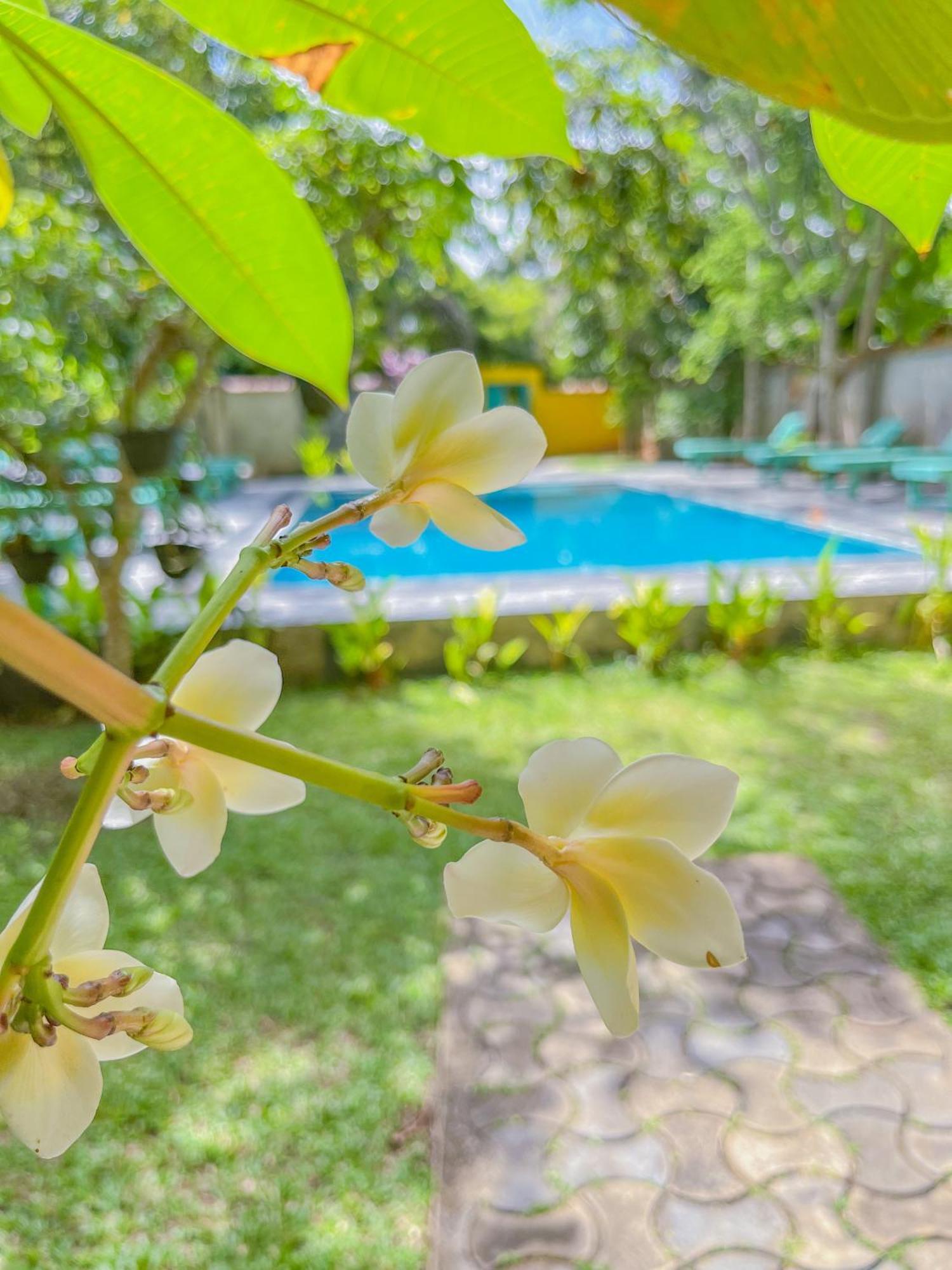 Easy Living Hotel Hikkaduwa Ngoại thất bức ảnh
